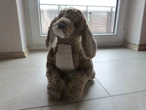 Bärenklinik besonders anspruchsvoll und erfolgreich