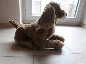 Bärenklinik besonders anspruchsvoll und erfolgreich
