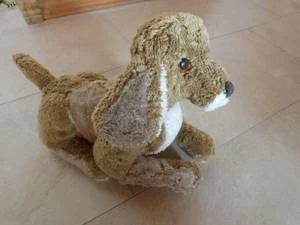 Bärenklinik besonders anspruchsvoll und erfolgreich