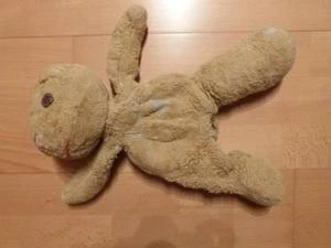 Bärenklinik besonders anspruchsvoll und erfolgreich