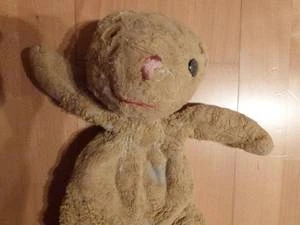 Bärenklinik besonders anspruchsvoll und erfolgreich