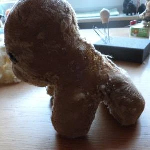 Bärenklinik besonders anspruchsvoll und erfolgreich