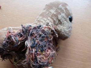 Bärenklinik besonders anspruchsvoll und erfolgreich