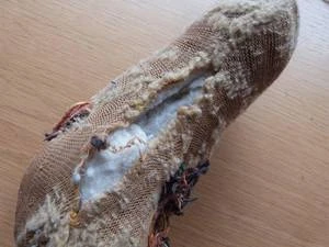 Bärenklinik besonders anspruchsvoll und erfolgreich