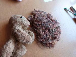Bärenklinik besonders anspruchsvoll und erfolgreich