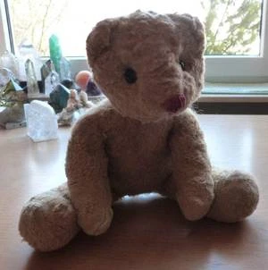 Bärenklinik besonders anspruchsvoll und erfolgreich