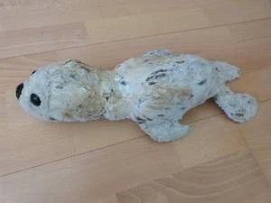 Bärenklinik besonders anspruchsvoll und erfolgreich