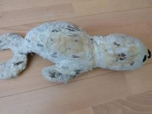 Bärenklinik besonders anspruchsvoll und erfolgreich
