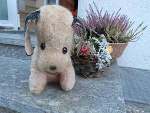 Bärenklinik besonders anspruchsvoll und erfolgreich