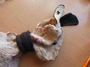 Bärenklinik besonders anspruchsvoll und erfolgreich