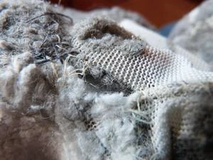 Bärenklinik besonders anspruchsvoll und erfolgreich
