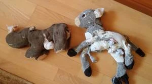 Bärenklinik besonders anspruchsvoll und erfolgreich