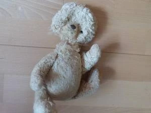 Bärenklinik besonders anspruchsvoll und erfolgreich